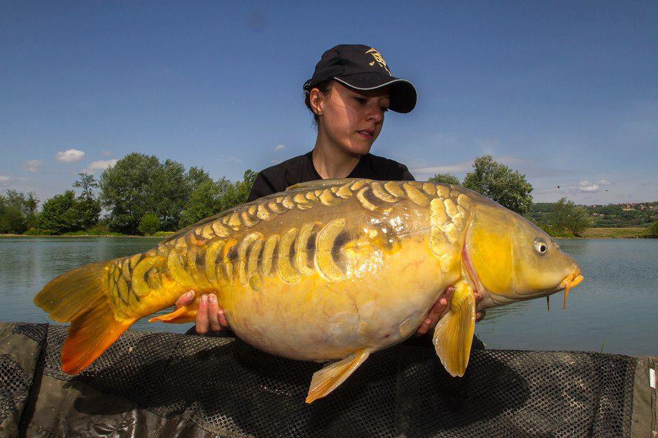 talent si frumusete - 946586326410380821232167568736n.jpg